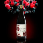 Is-studio-professionnels-001