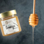 Is-studio-professionnels-014